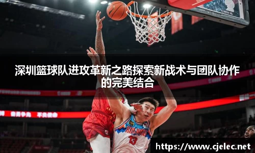 深圳篮球队进攻革新之路探索新战术与团队协作的完美结合