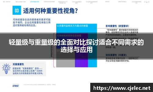 轻量级与重量级的全面对比探讨适合不同需求的选择与应用